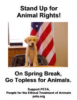 Dog and American flag topless for animals poster